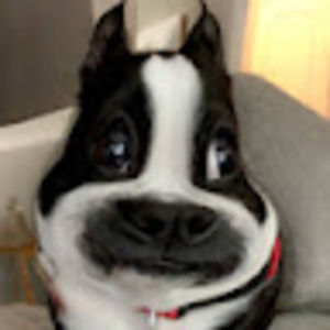 Meet your Posher, Ava